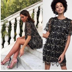Zara Fringed Sequin Dress